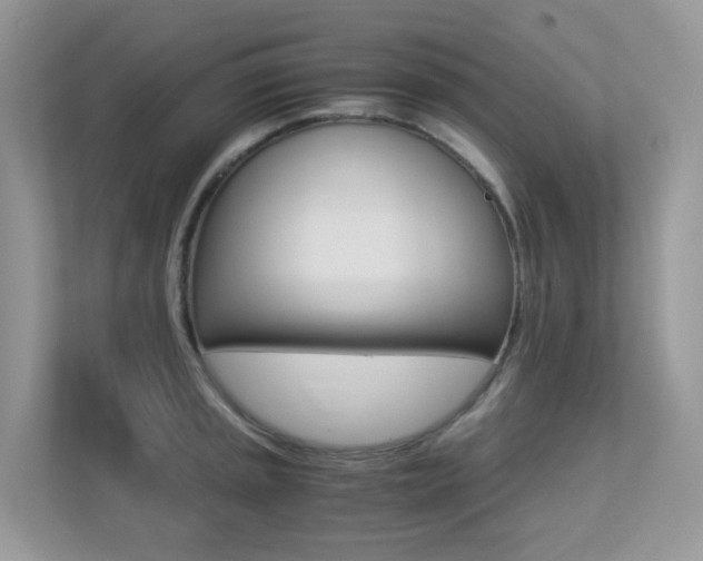 X0000113251045200909100939
