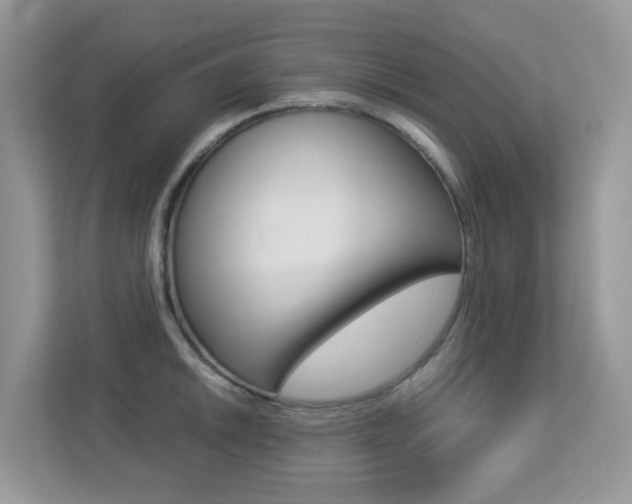 X0000113251046200909100939