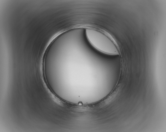 X0000113251050200909100939