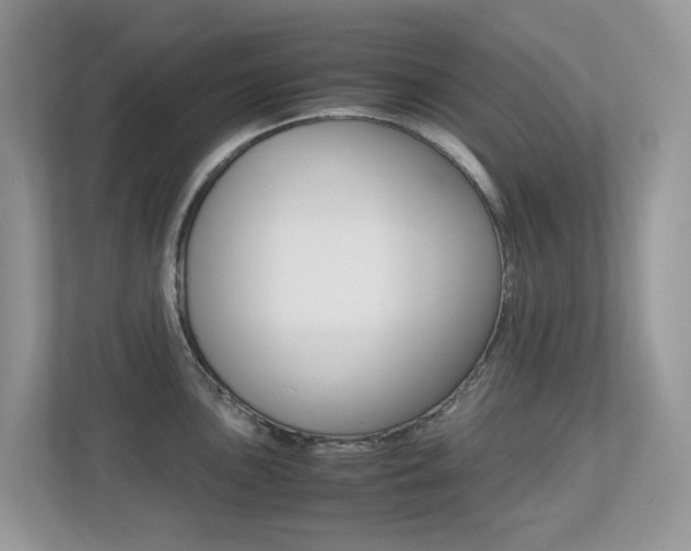 X0000113251051200909100939