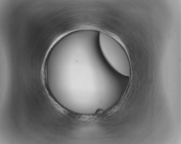 X0000113251056200909100939