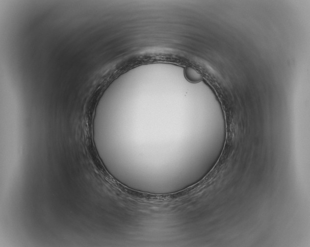 X0000113251062200909100938