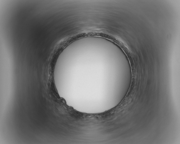 X0000113251063200909100938