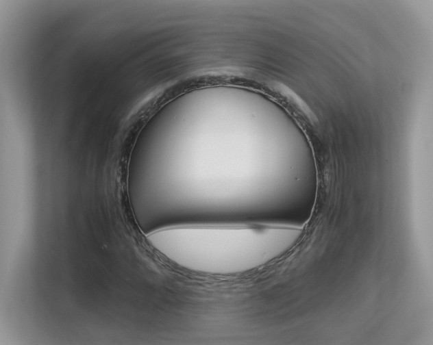 X0000113251064200909100938
