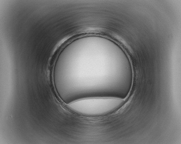 X0000113251066200909100938