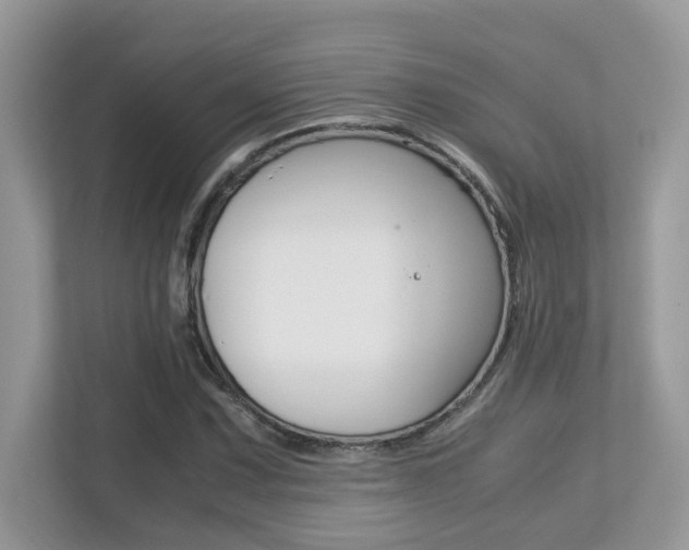 X0000113251067200909100938
