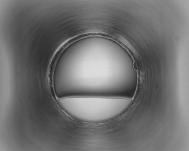 X0000113251068200909100938