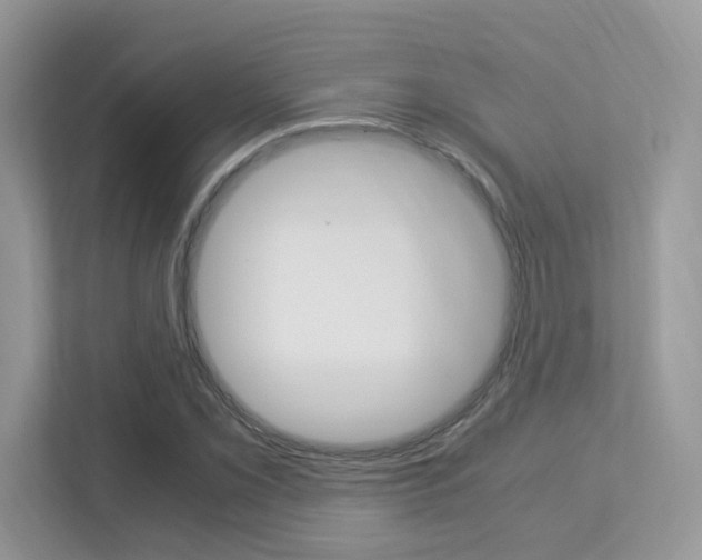 X0000113251069200909100938