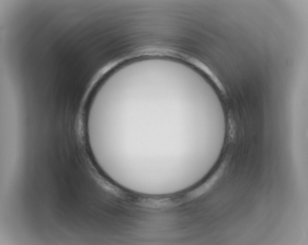 X0000113251074200909100938