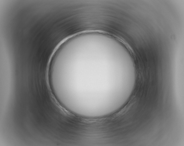 X0000113251076200909100938