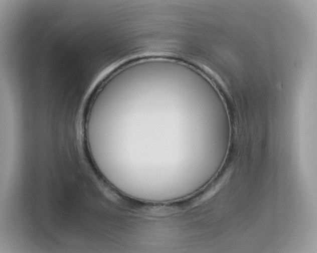 X0000113251077200909100938
