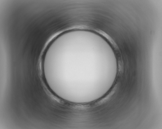 X0000113251078200909100938