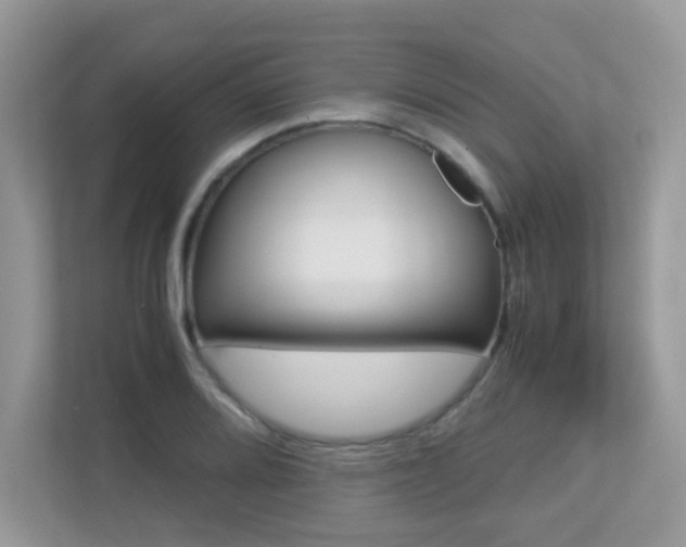 X0000113251080200909100938
