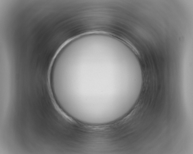 X0000113251084200909100938
