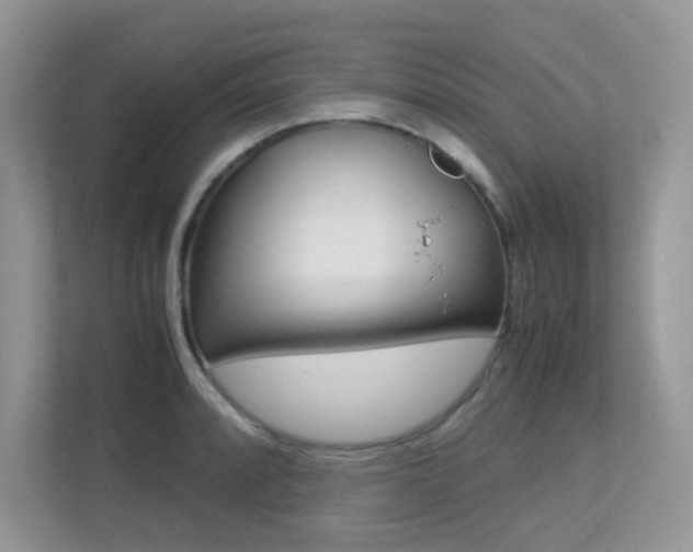 X0000113251088200909100938