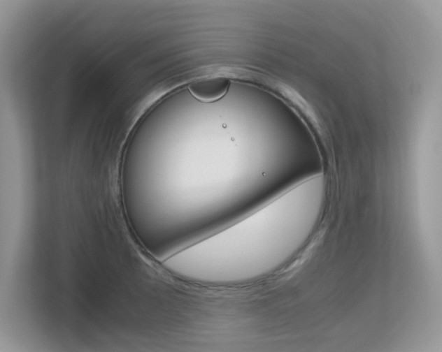 X0000113251089200909100938