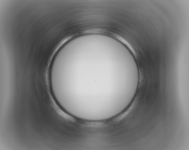 X0000113251090200909100938