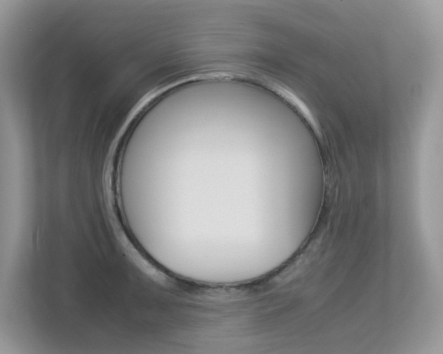 X0000113251091200909100938