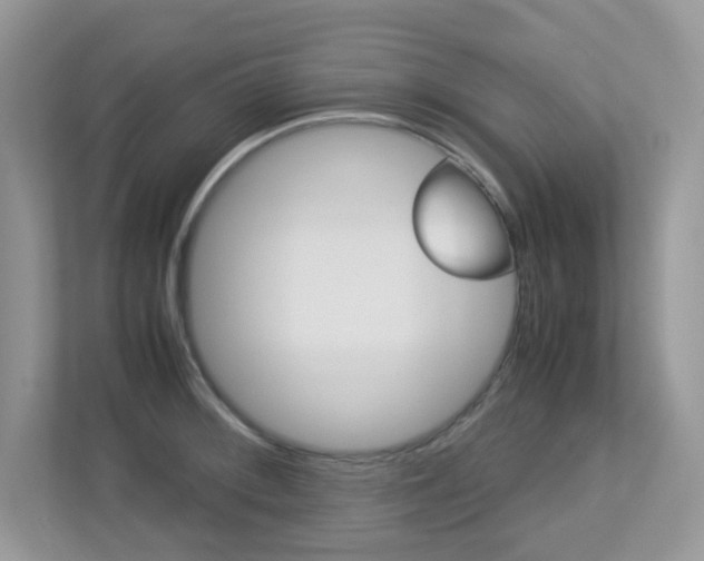 X0000113251092200909100938