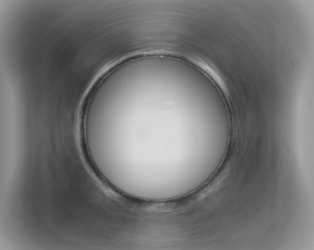 X0000113251093200909100938
