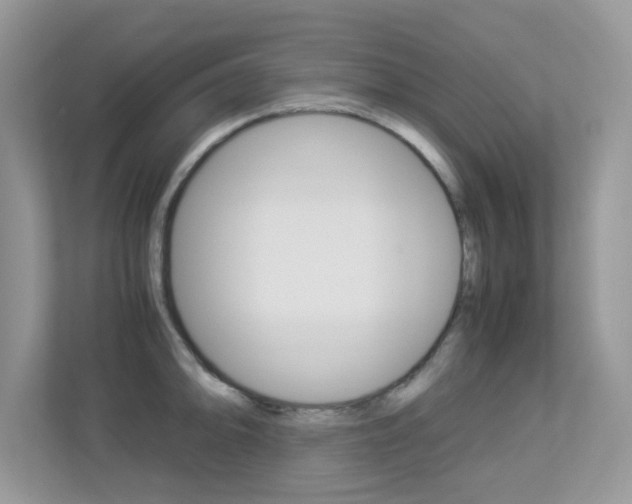 X0000113251094200909100938