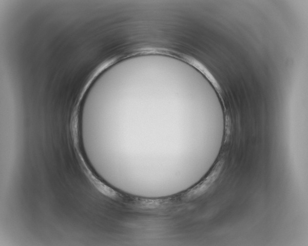 X0000113251098200909100938