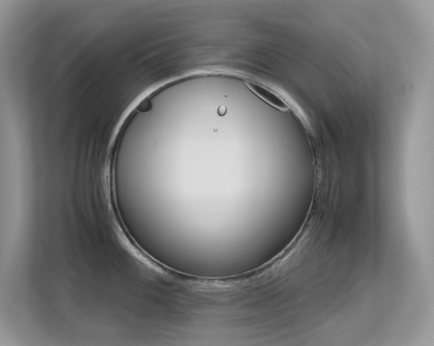 X0000113251100200909100938