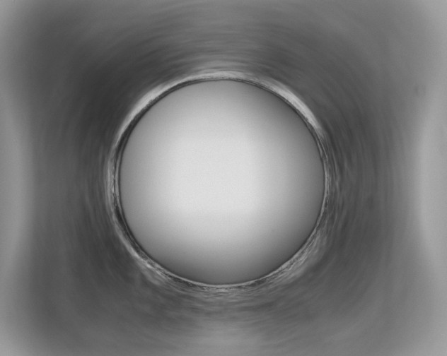 X0000113251101200909100938