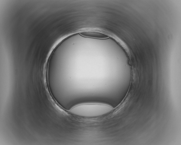 X0000113251102200909100938