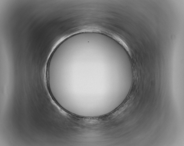 X0000113251103200909100938