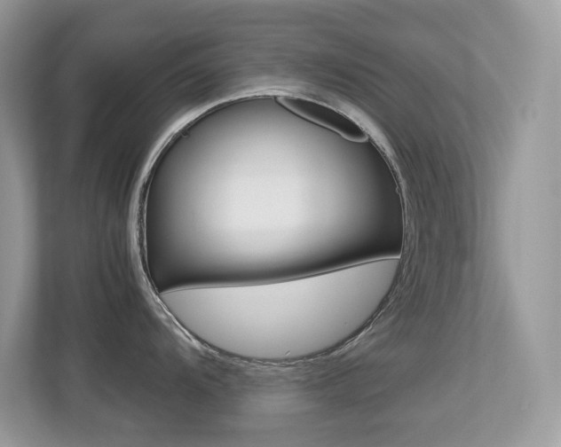 X0000113251104200909100938