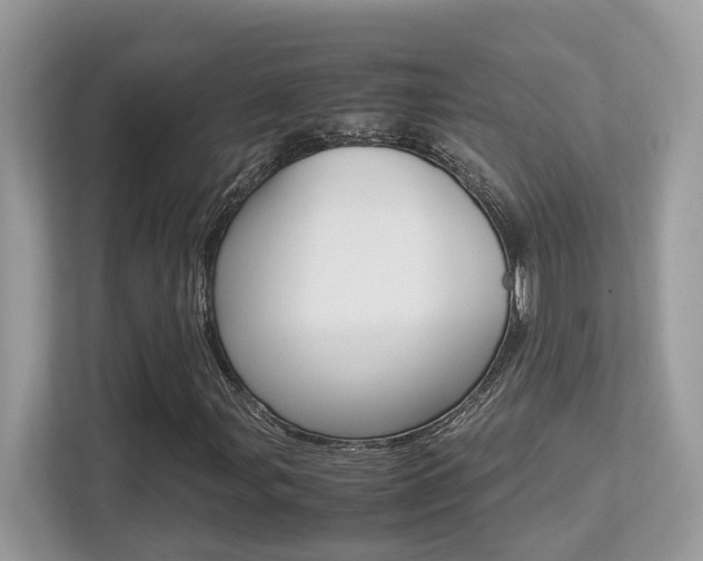 X0000113251107200909100937