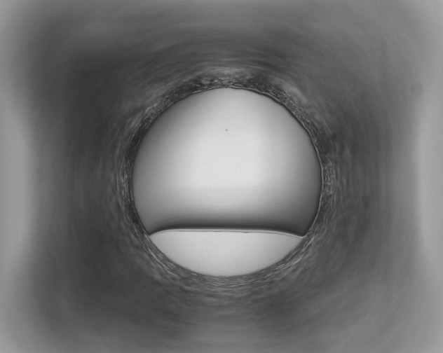 X0000113251109200909100937