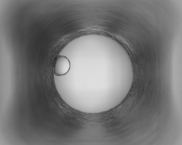 X0000113251110200909100937