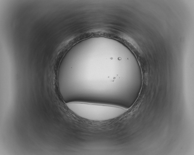X0000113251111200909100937