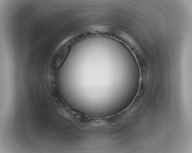 X0000113251112200909100937