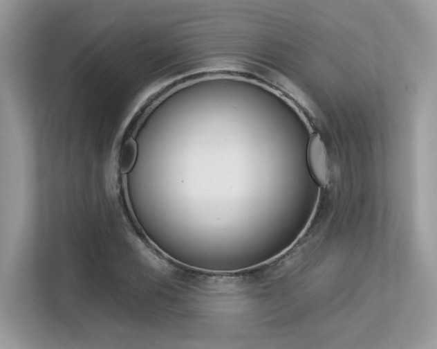 X0000113251116200909100937