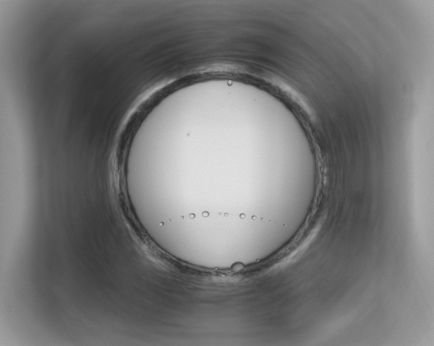 X0000113251117200909100937