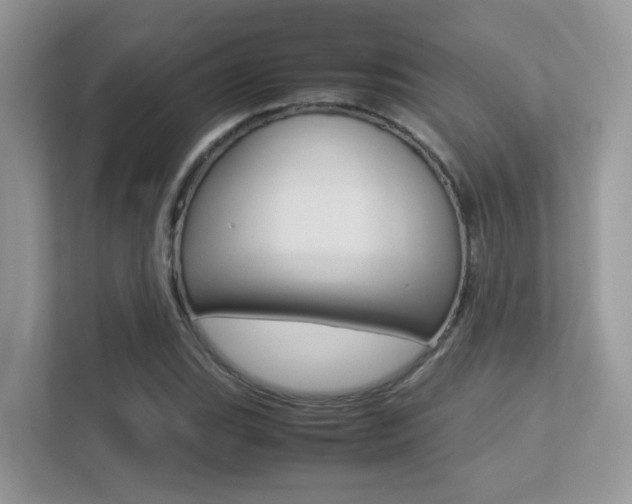 X0000113251119200909100937