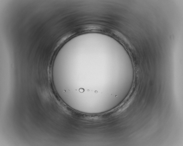 X0000113251121200909100937