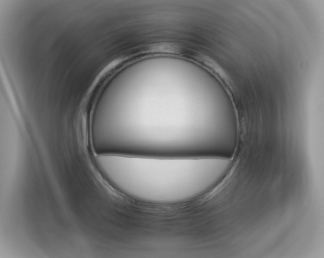 X0000113251123200909100937