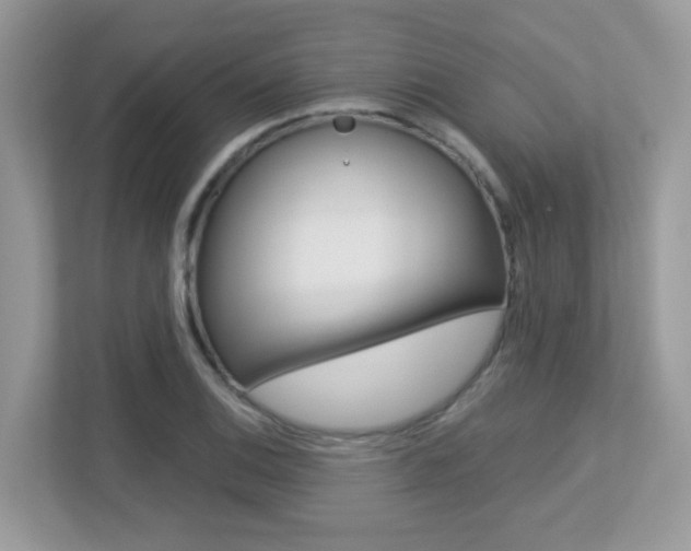 X0000113251124200909100937