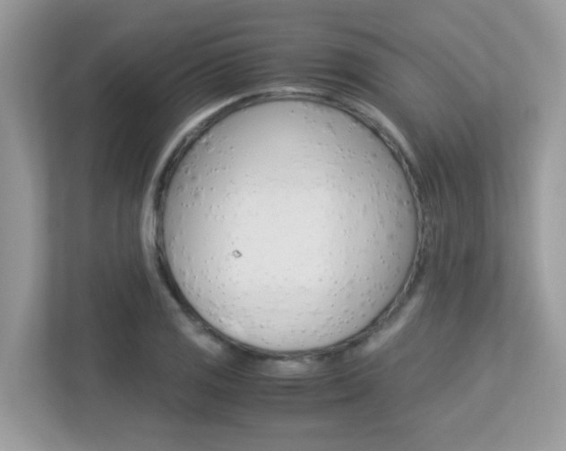 X0000113251125200909100937