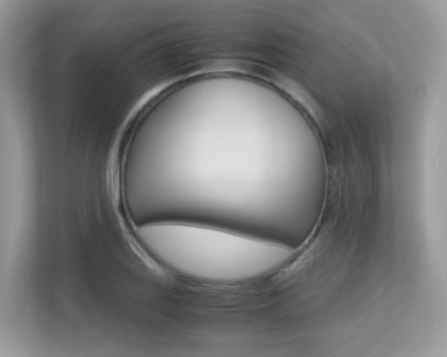 X0000113251127200909100937