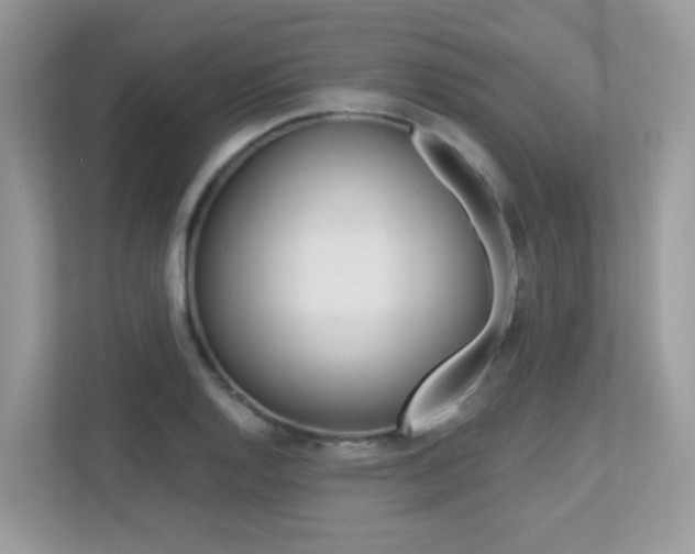 X0000113251128200909100937