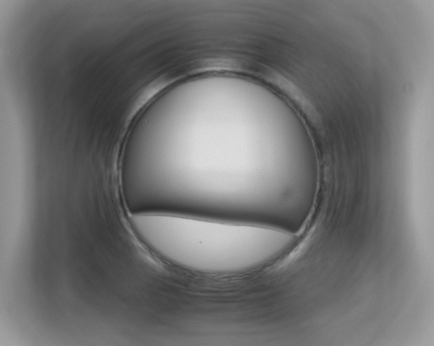 X0000113251129200909100937