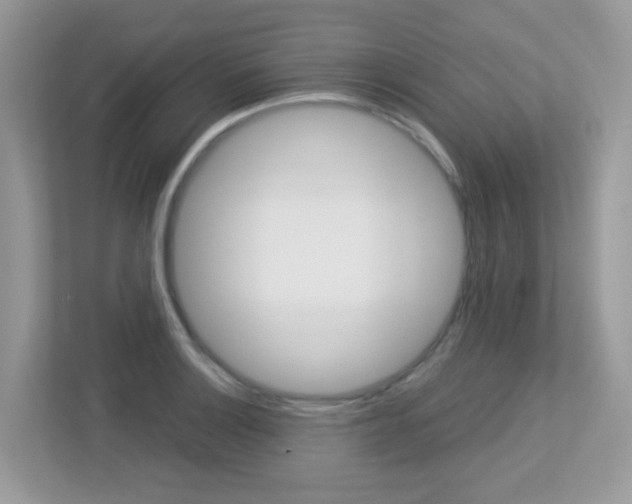 X0000113251132200909100937