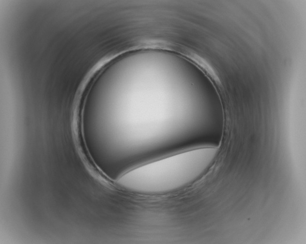 X0000113251136200909100937