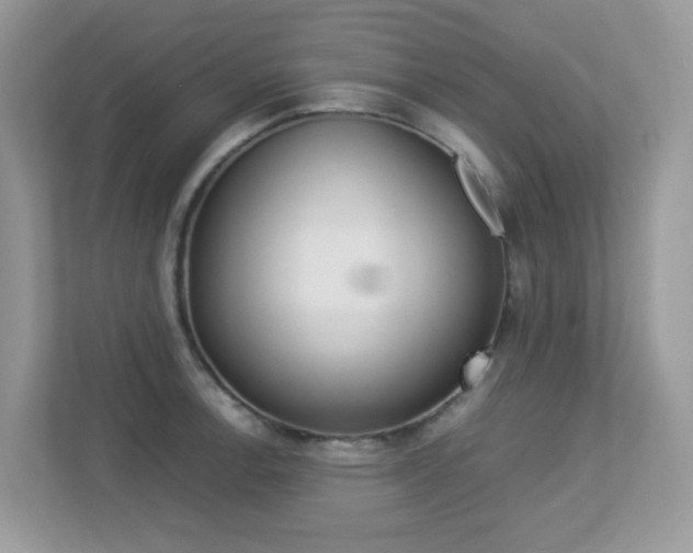 X0000113251138200909100937
