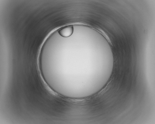 X0000113251140200909100937